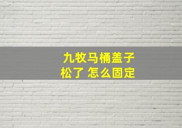 九牧马桶盖子松了 怎么固定